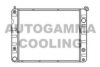 PEUGE 1300C9 Radiator, engine cooling